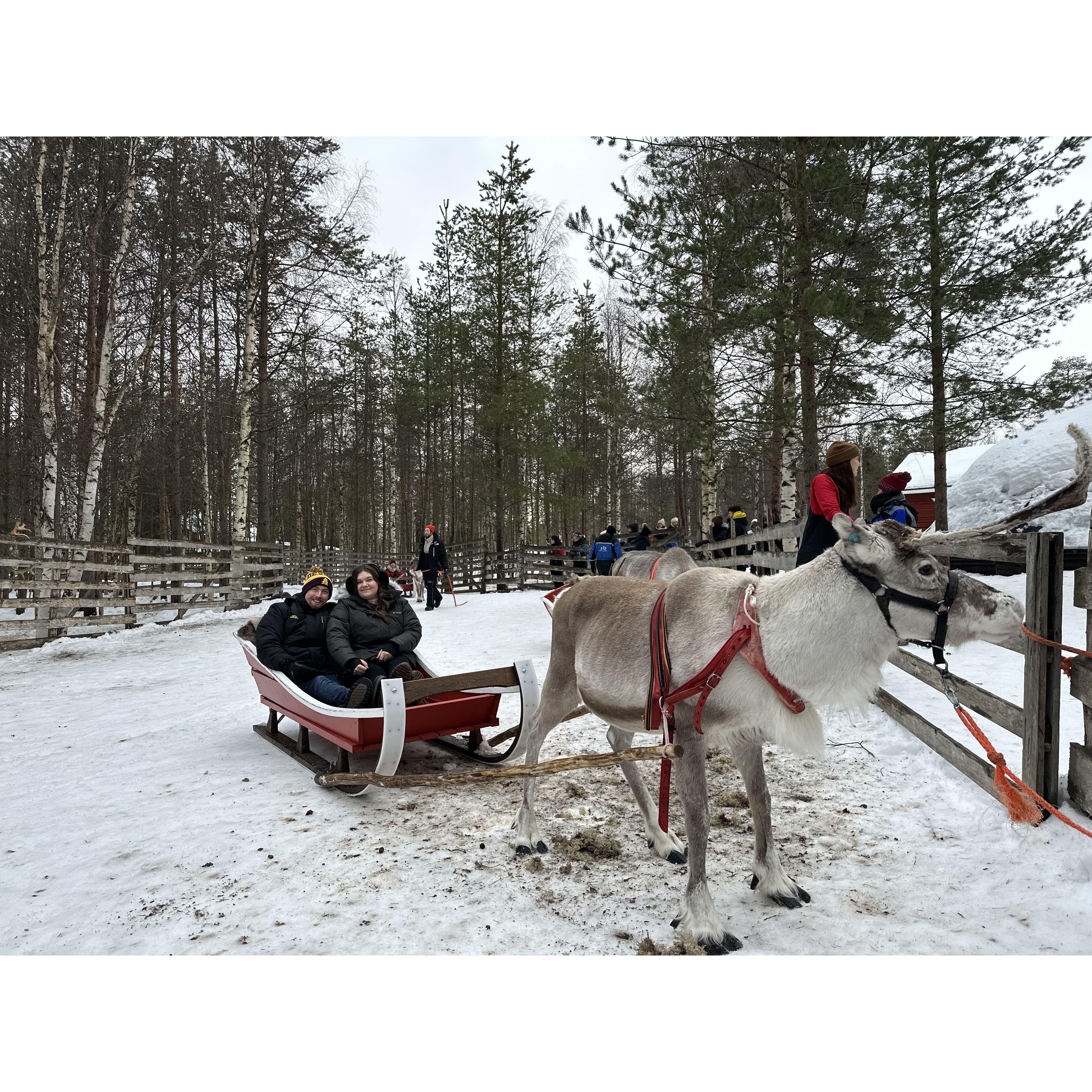 While in Rovaniemi, Finland we got to take a ride with this reindeer!