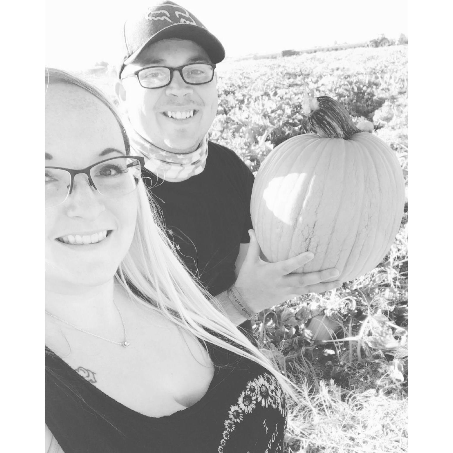 Marana pumpkin patch!!