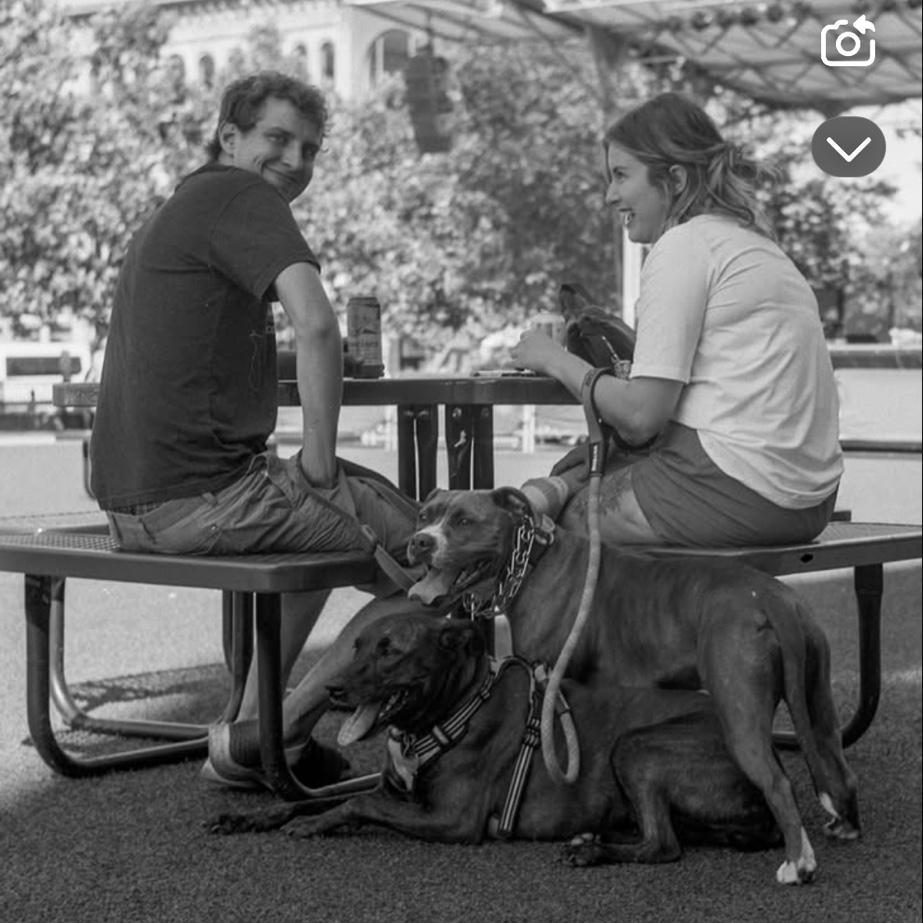 Downtown with the dogs