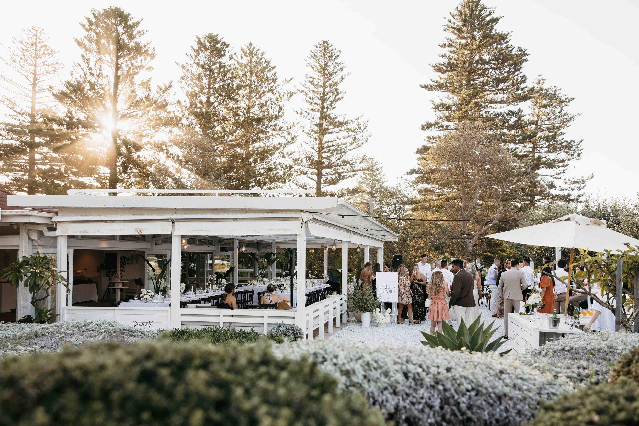 The Wedding Website of Nicole Czerwinski and Nathaniel Toussaint