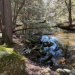 Roaring Brook Nature Center