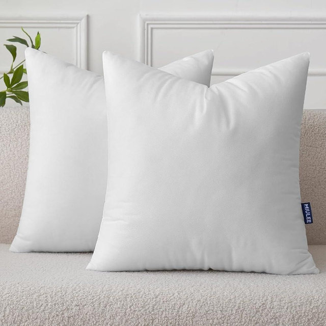 MIULEE Set of 2 Throw Pillow Inserts 22x22 Inches, Nowoven Decorative Pillow Inserts for Living Room