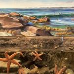 Save The Bay's Hamilton Family Aquarium