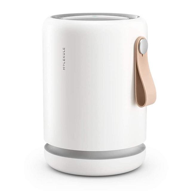 Molekule Air Mini+ Small Room Air Purifier with Particle Sensor and PECO Technology for Allergens, Pollutants, Viruses, Bacteria, and Mold, White
