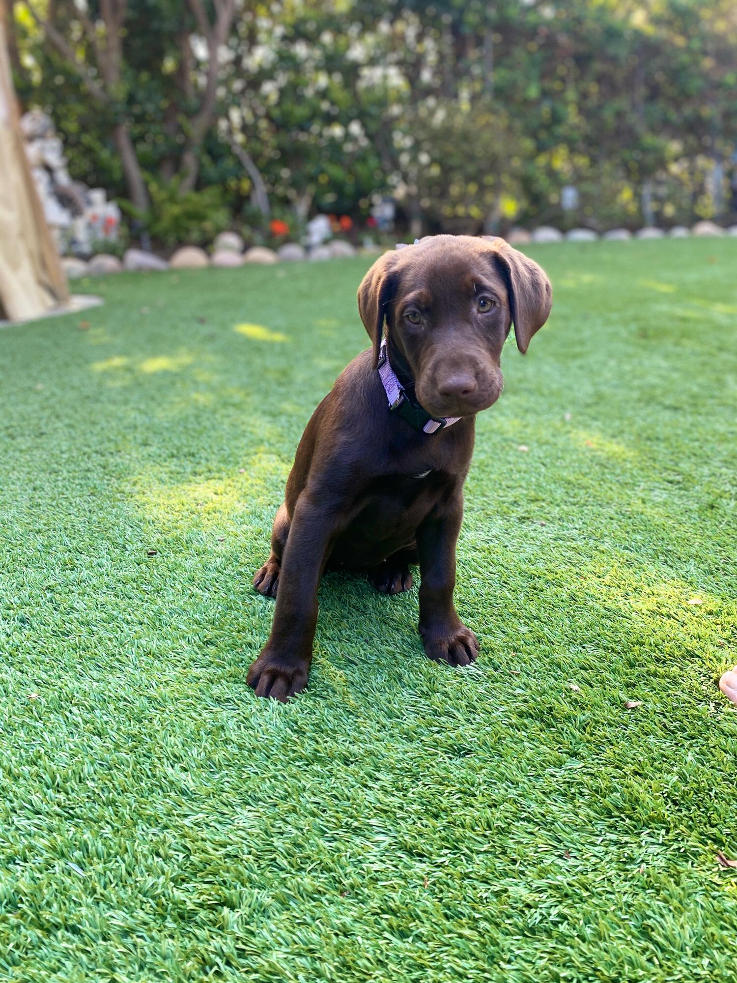 First day we got zoey