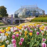 Phipps Conservatory and Botanical Gardens