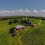 Robller Vineyard & Winery