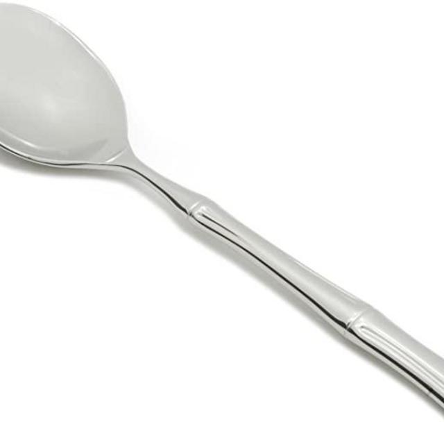 Fortessa Royal Pacific 18/10 Stainless Steel Flatware Serving Spoon, 10-Inch