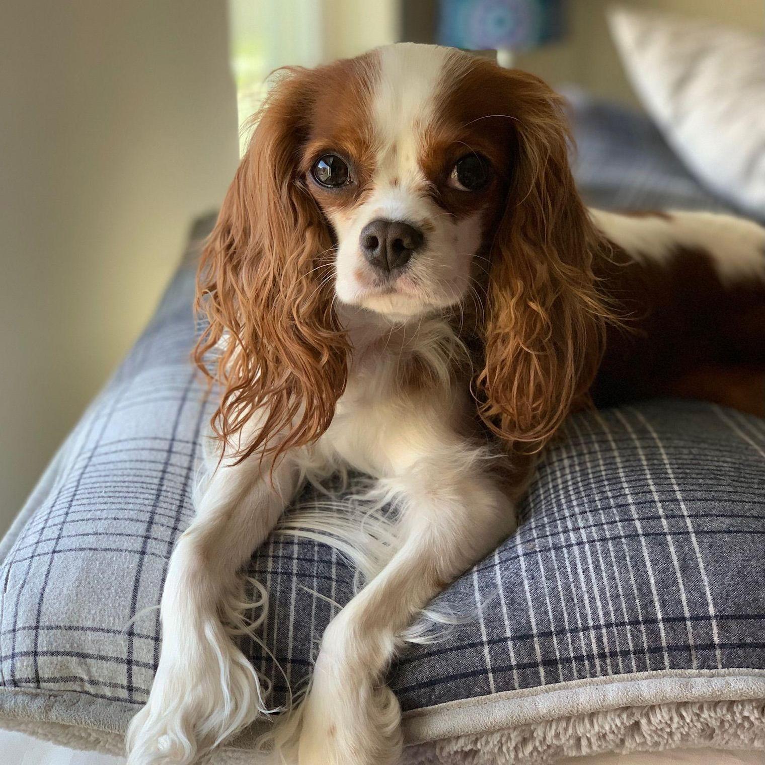 Rory, almost 6 years old