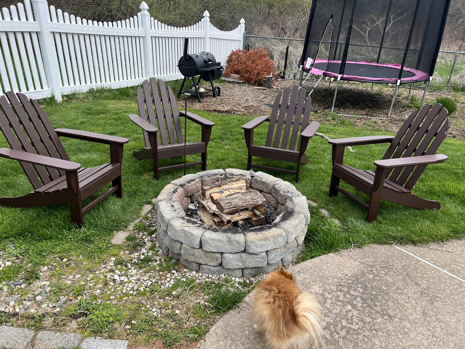 Hanging in the backyard with our puppy