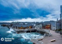 Monterey Bay Aquarium