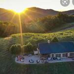 Valhalla Vineyards