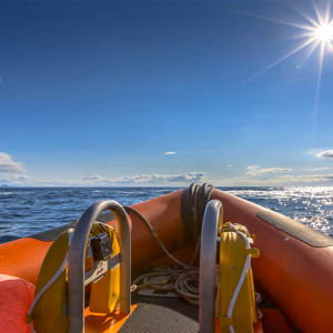 BVI Rib Adventure (Self Drive Boat)