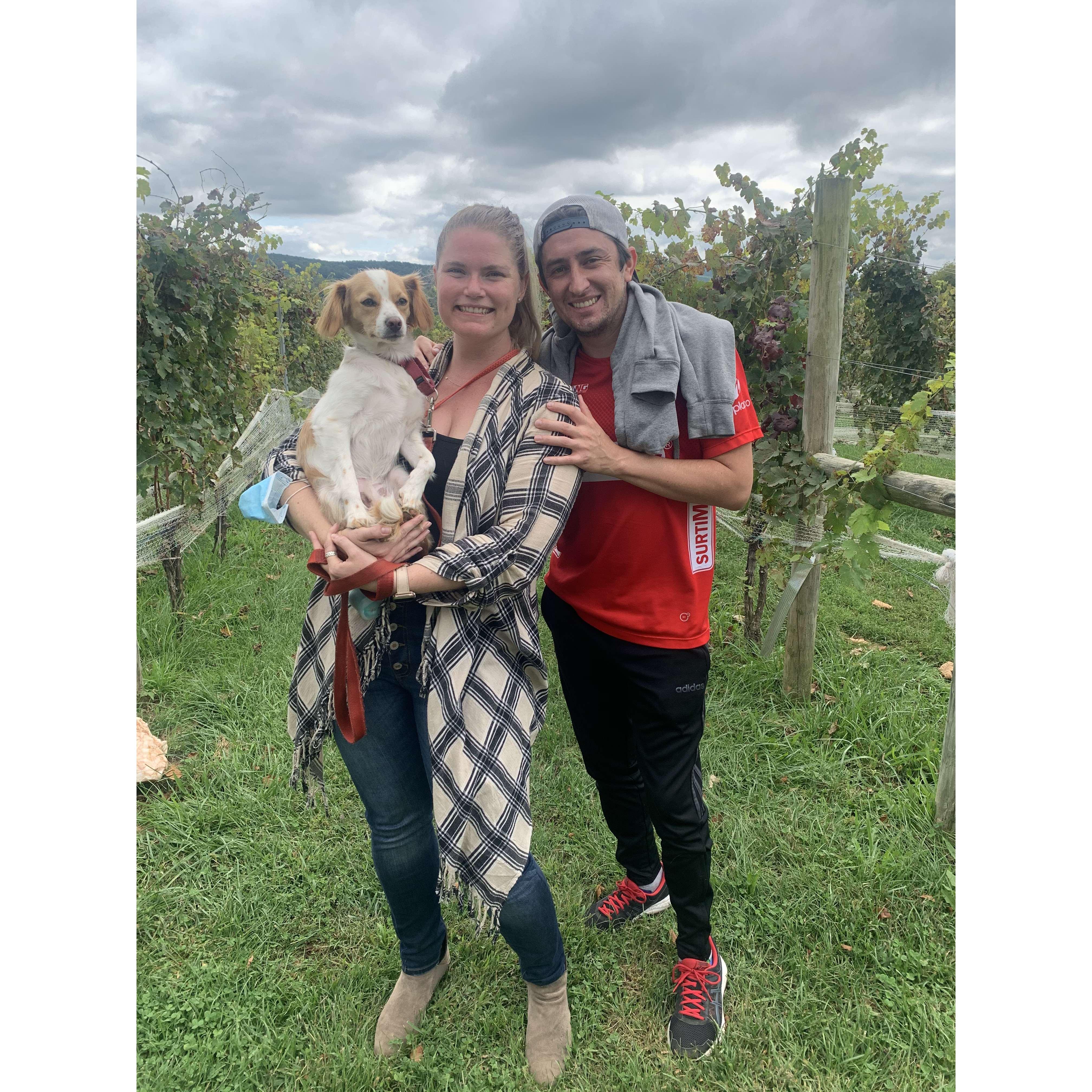 Apple picking with Luke!