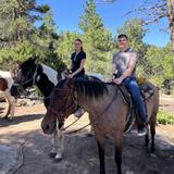 Bear Mountain Stables