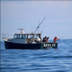 Deep Sea & Sport Fishing Charters