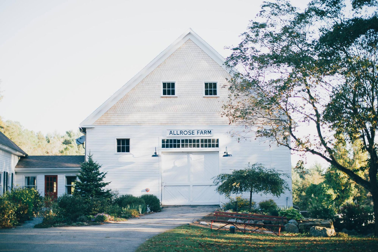 The Wedding Website of Courtney McAuley and Gavin Dysart