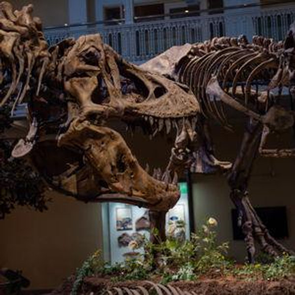 Carnegie Museums Membership