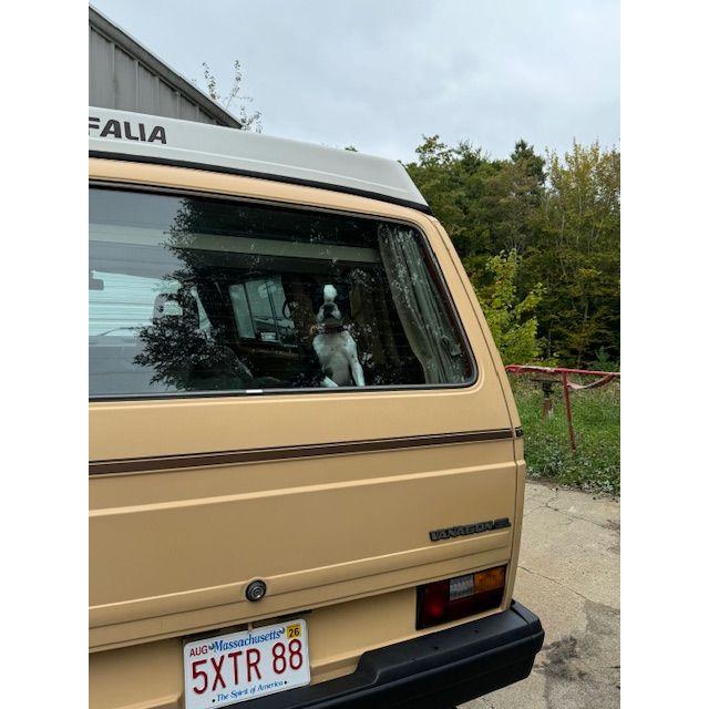 Beezus can't wait to hit the road with us on new adventures.