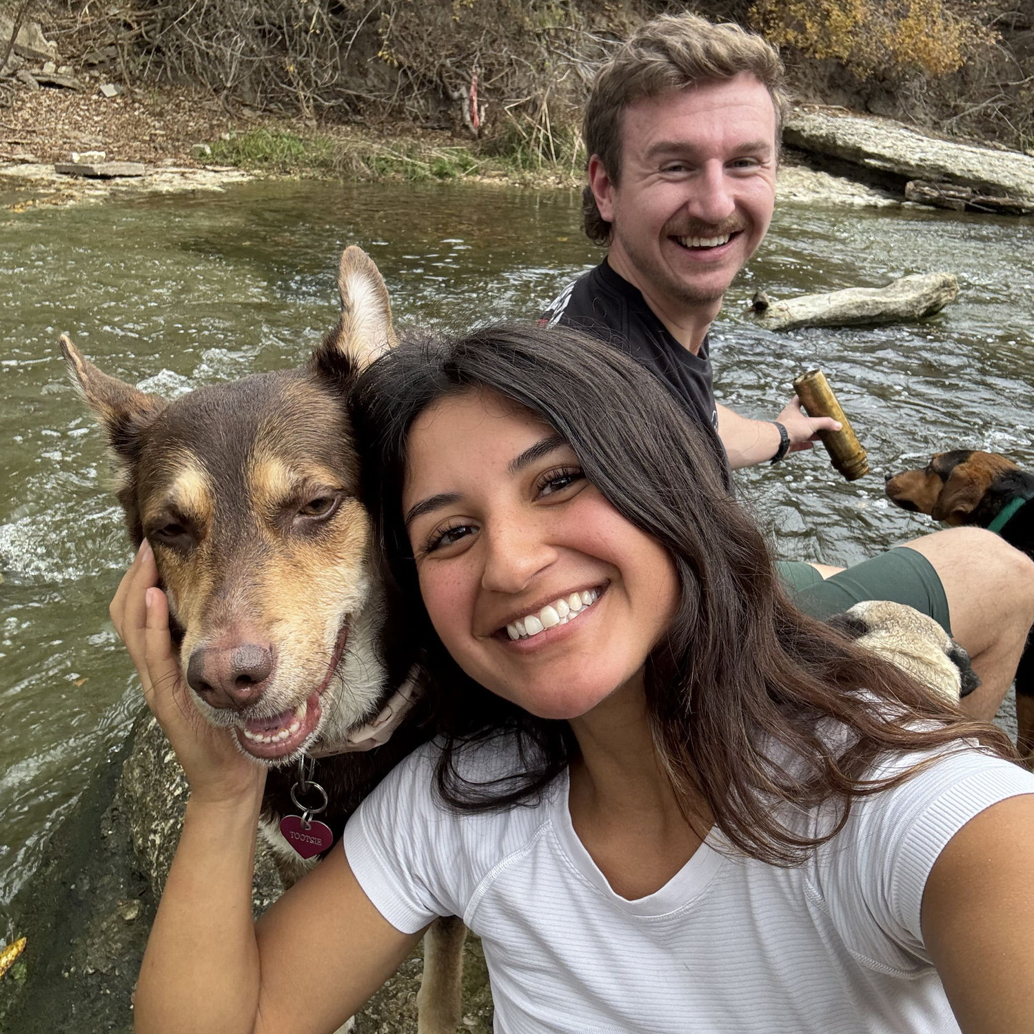 Time with the dogs!