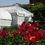 The Botanical Gardens of Smith College