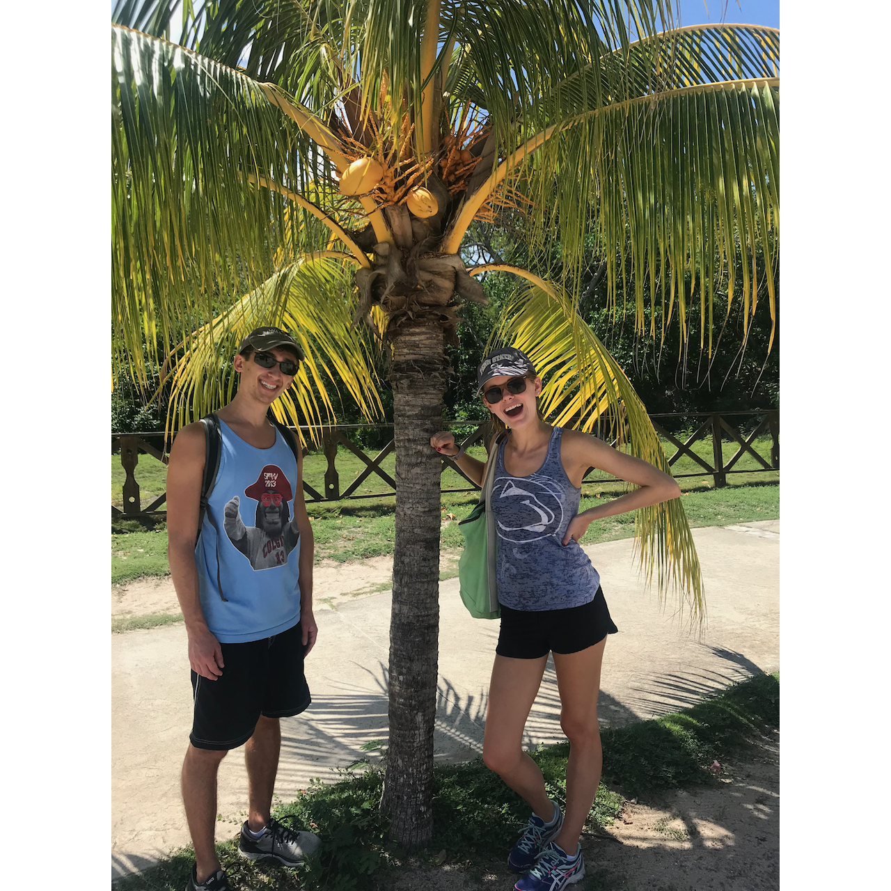 2019 - Caribbean - Classic palm tree pic