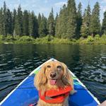 Kayak, SUP, or E-bikes