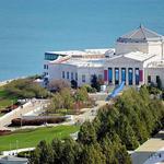 Shedd Aquarium