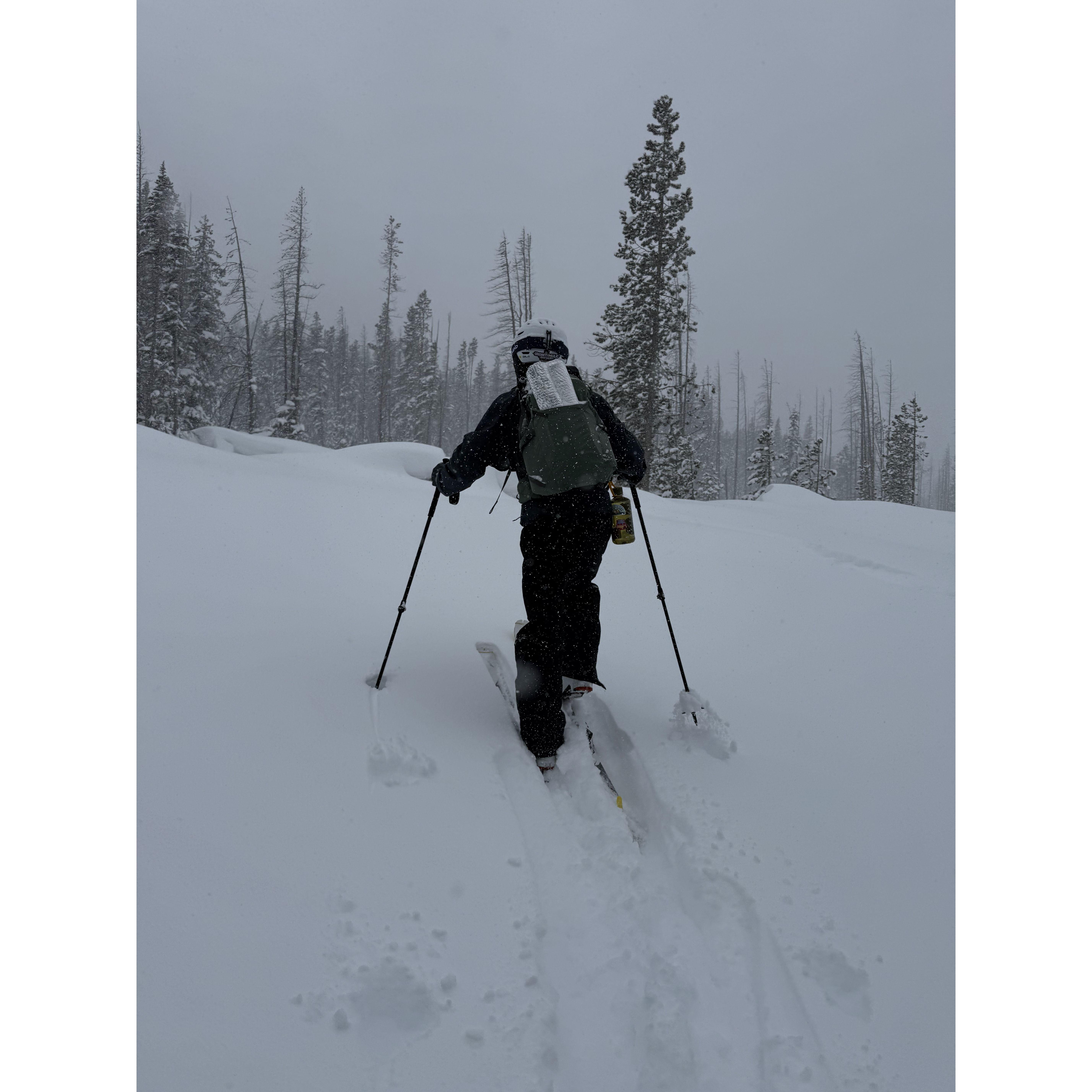 Feb 15: Skis > Snowshoes