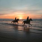 Horseback Riding