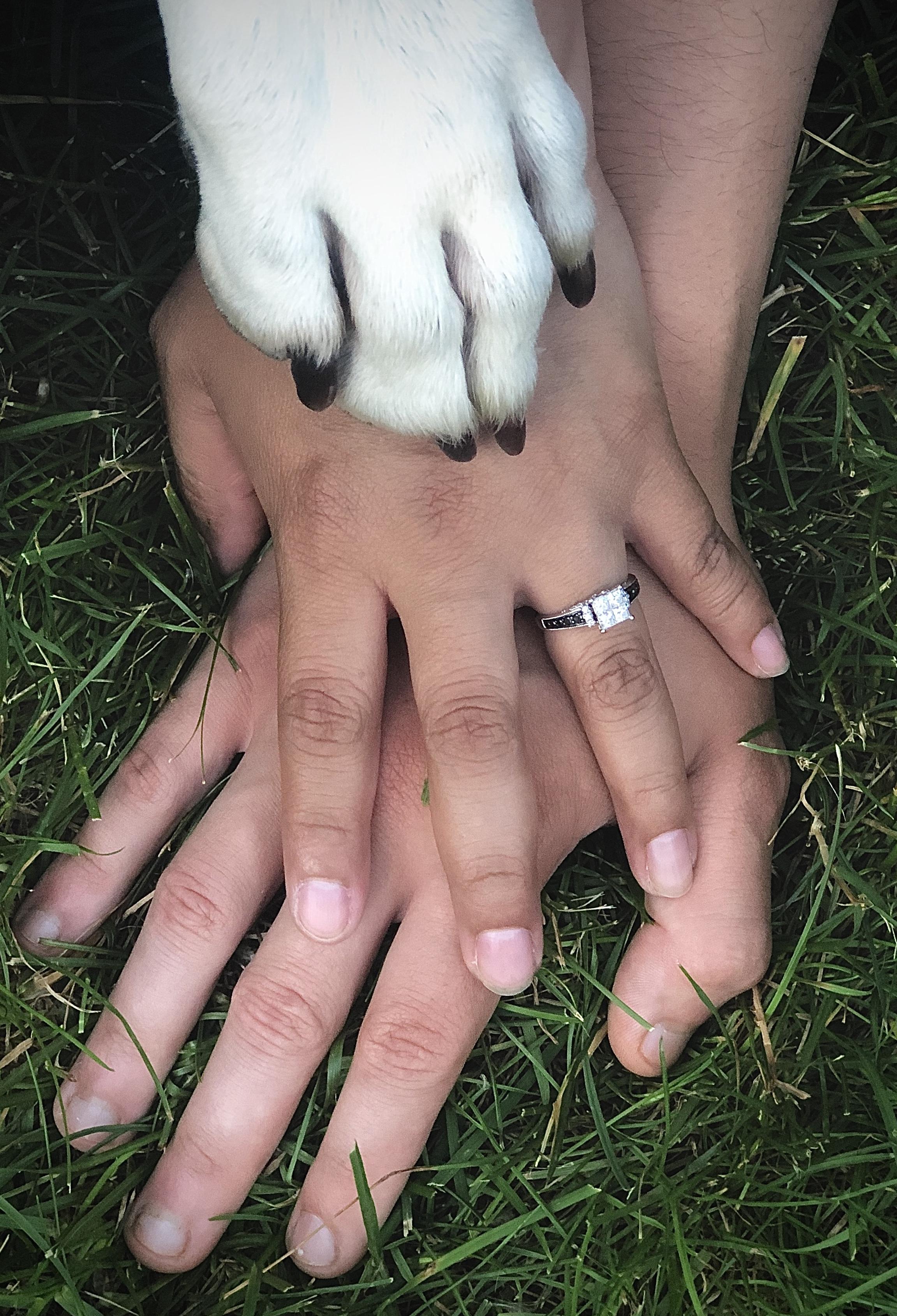 The Wedding Website of Amy Shapiro and Daniel Jordan