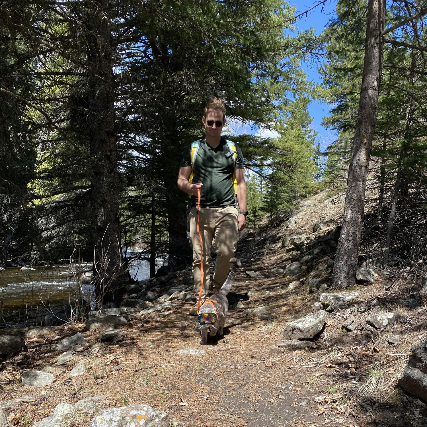 Brush Creek Trail in the Bighorn National Forest - one of our faves!
