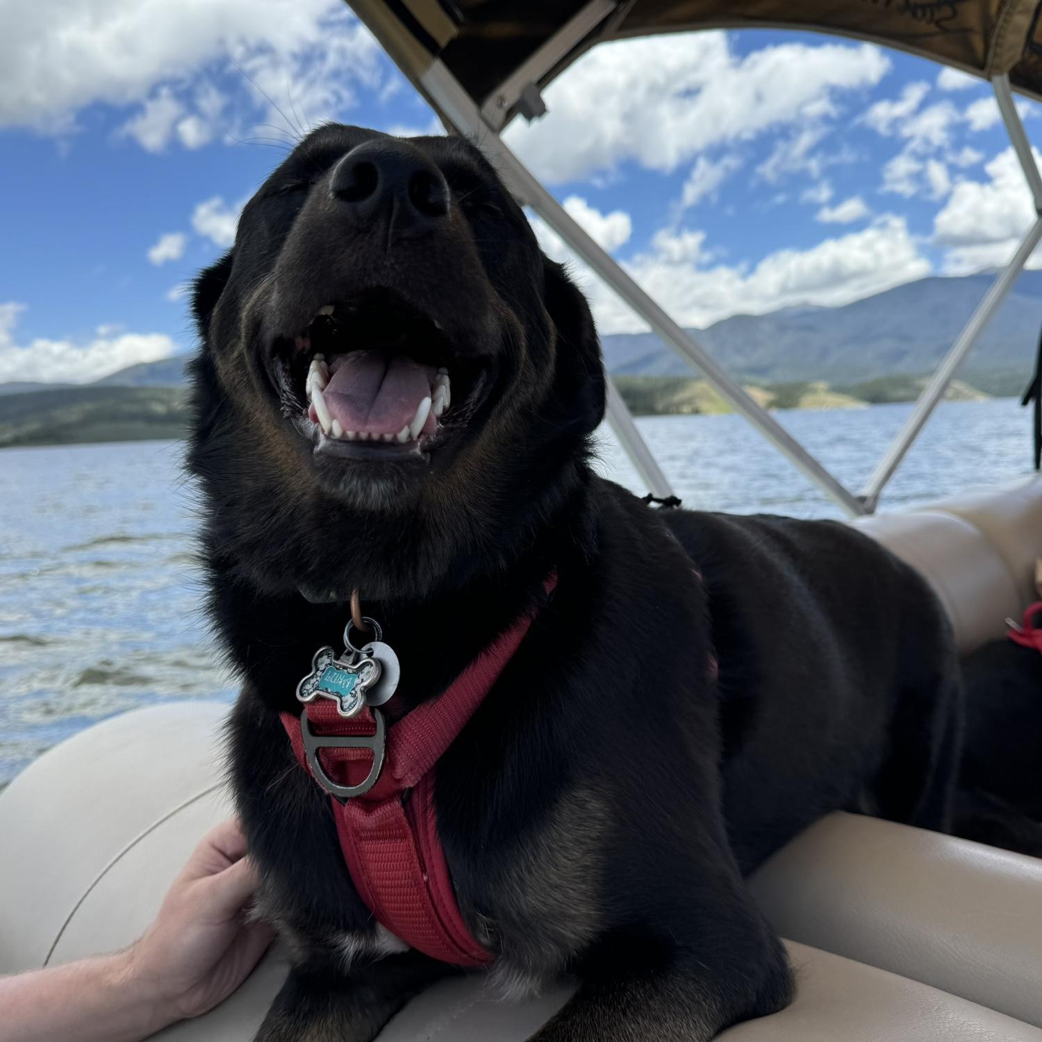 Luna smiling big on the boat, the water is her favorite thing