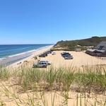Beachcomber in Wellfleet