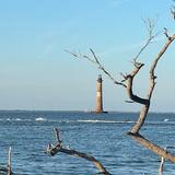 Lighthouse Inlet Heritage Preserve