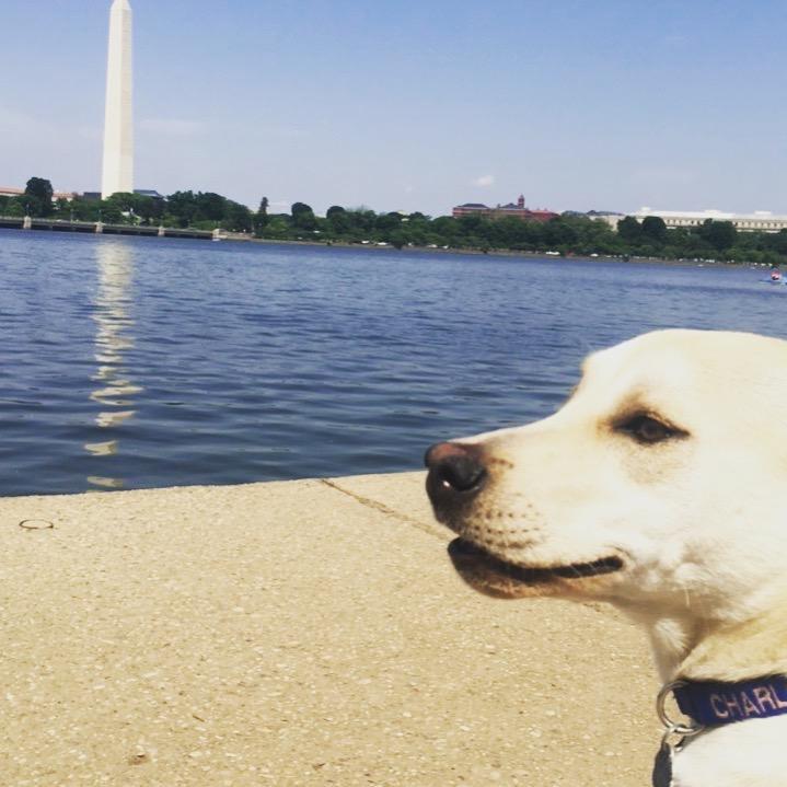 DC's hometown hero.
