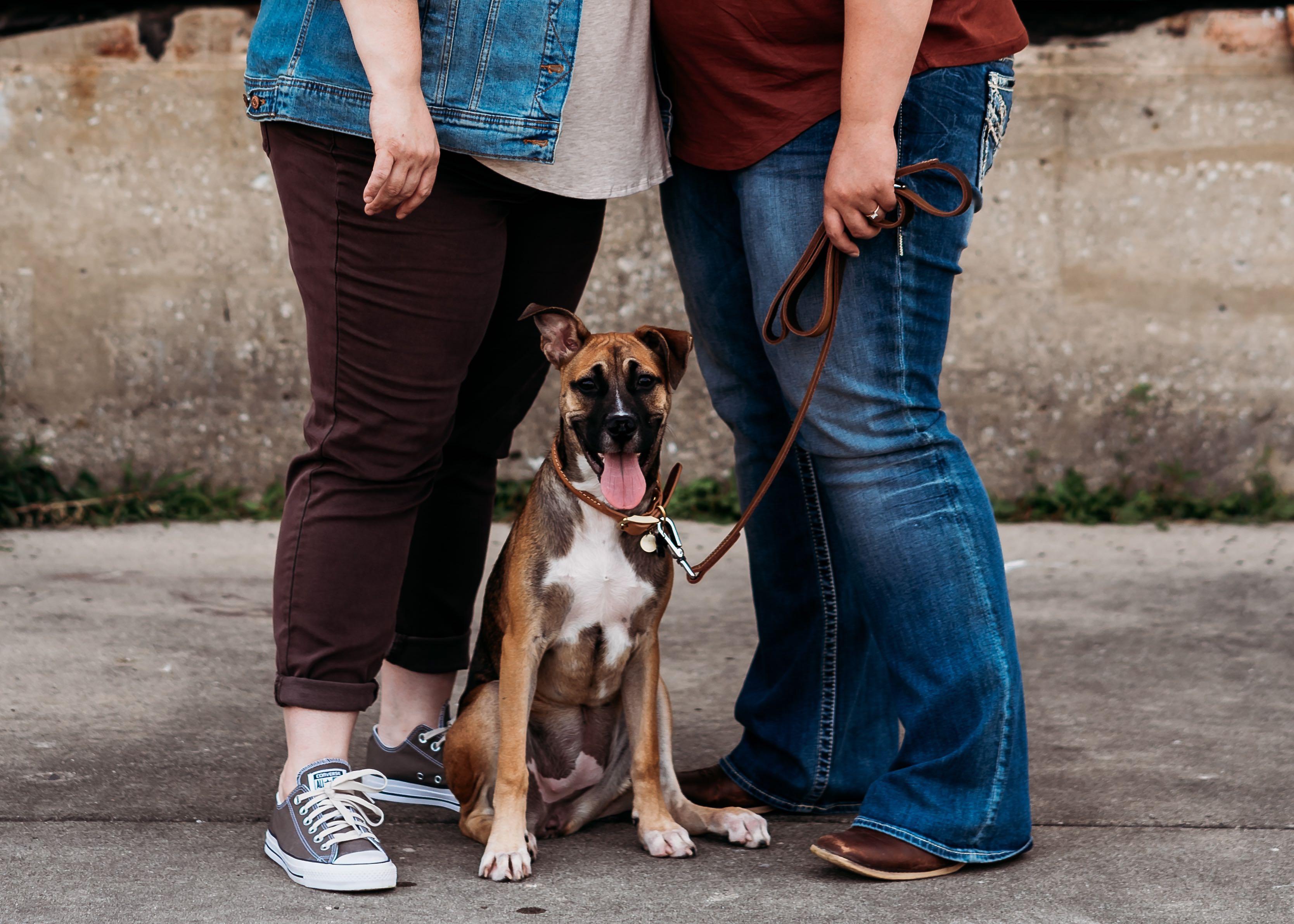 The Wedding Website of Louise Behling and Lindsey Marr