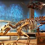 Perot Museum of Nature and Science