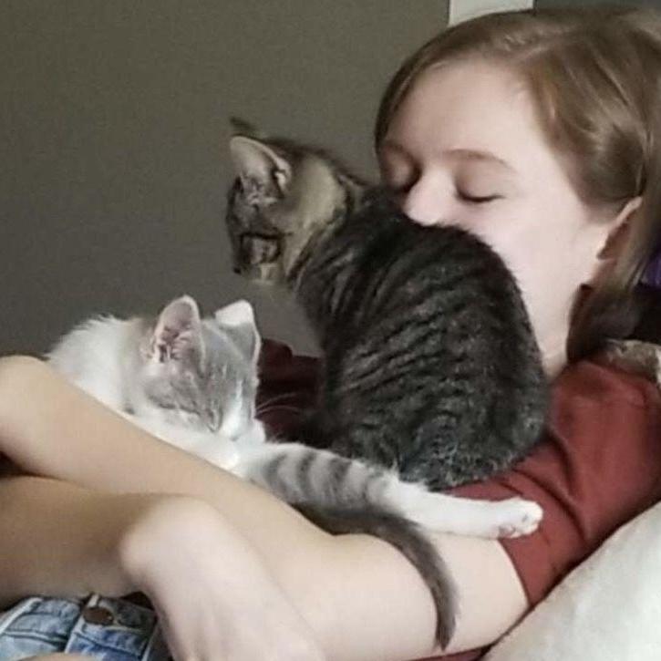 Kitten years