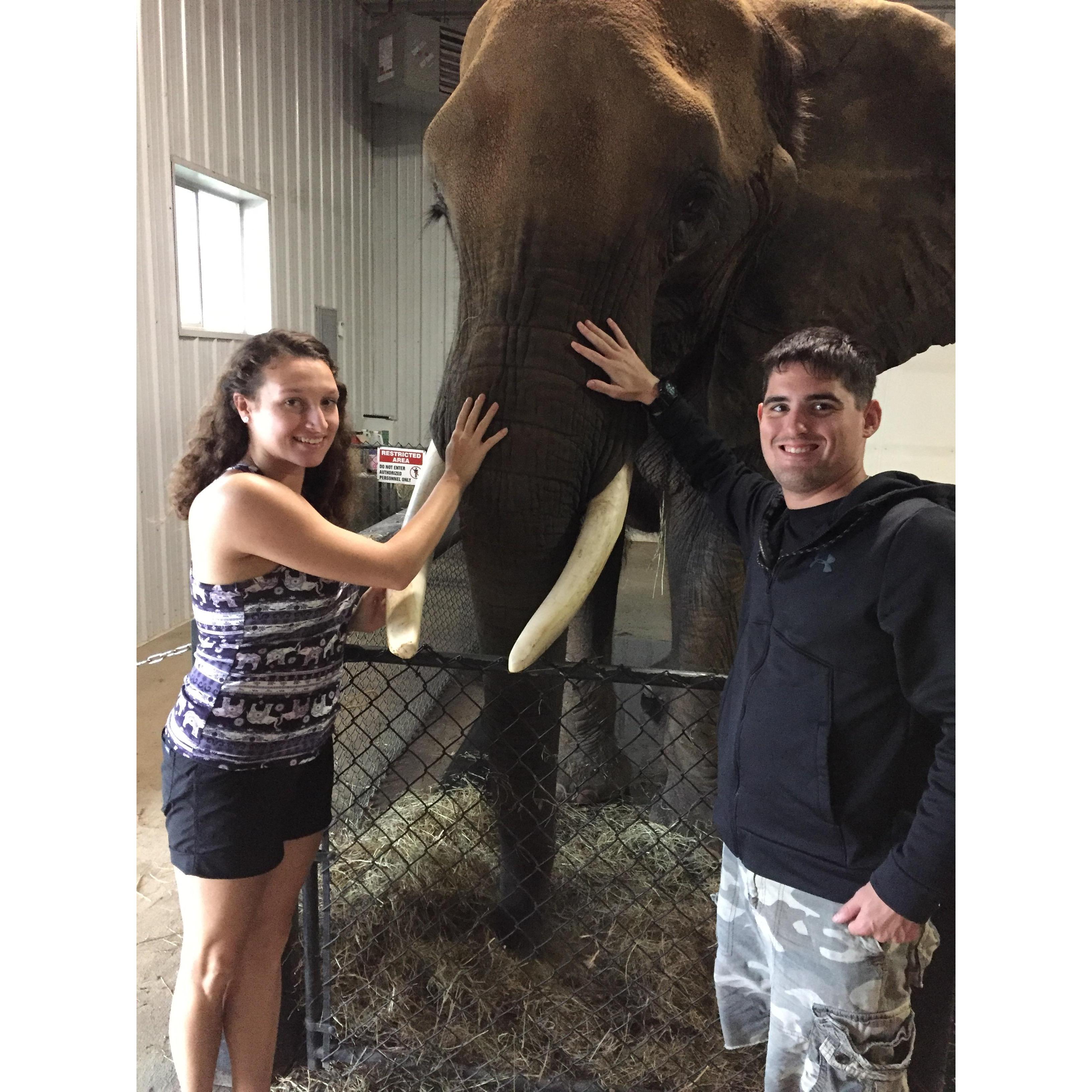 Best Trip Ever! Elephant bathing!