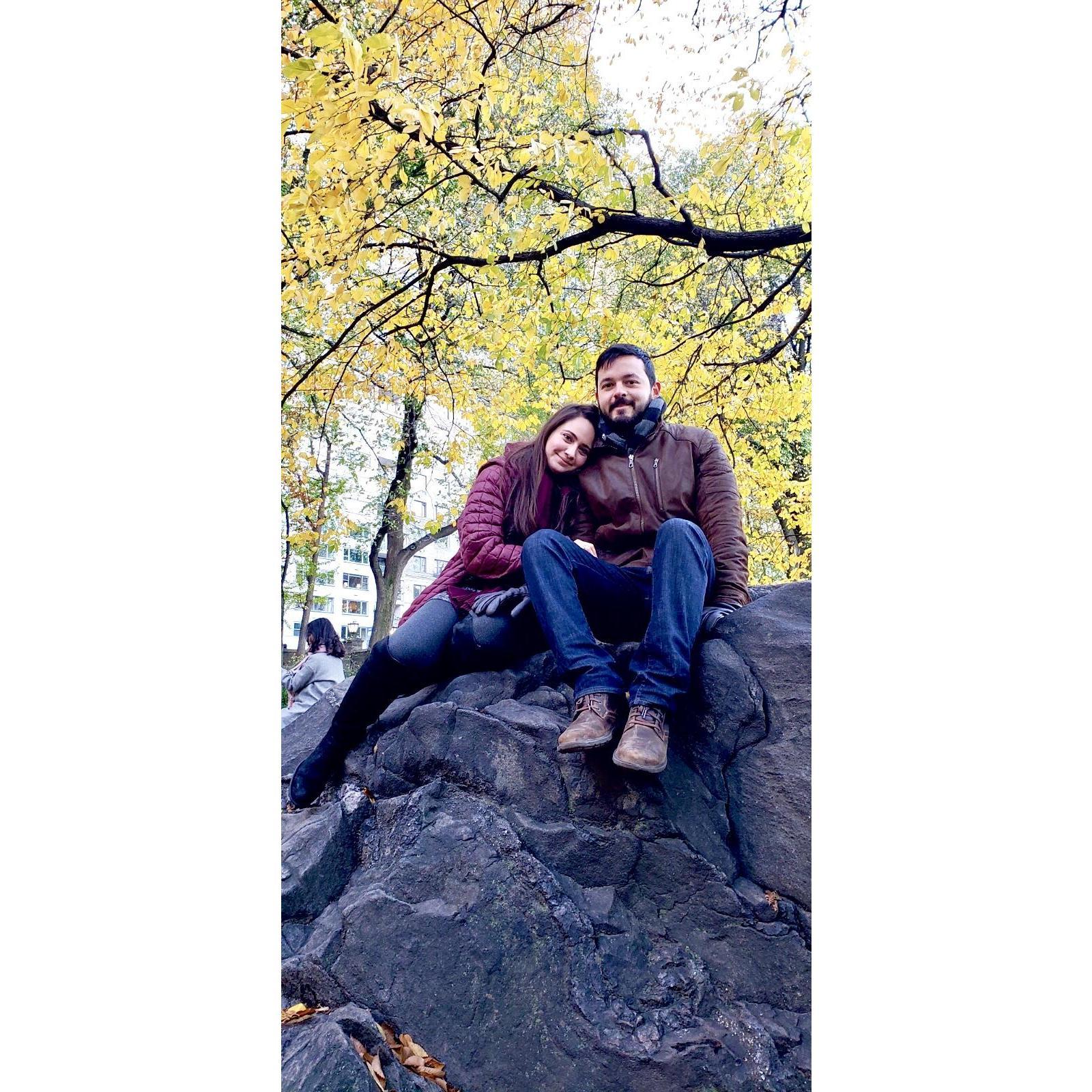 Central Park, NYC