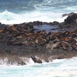 Caspar Headlands State Natural Reserve