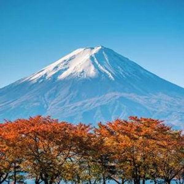 Mt Fuji and Hakone 1-Day Bus Tour Return by Bullet Train
