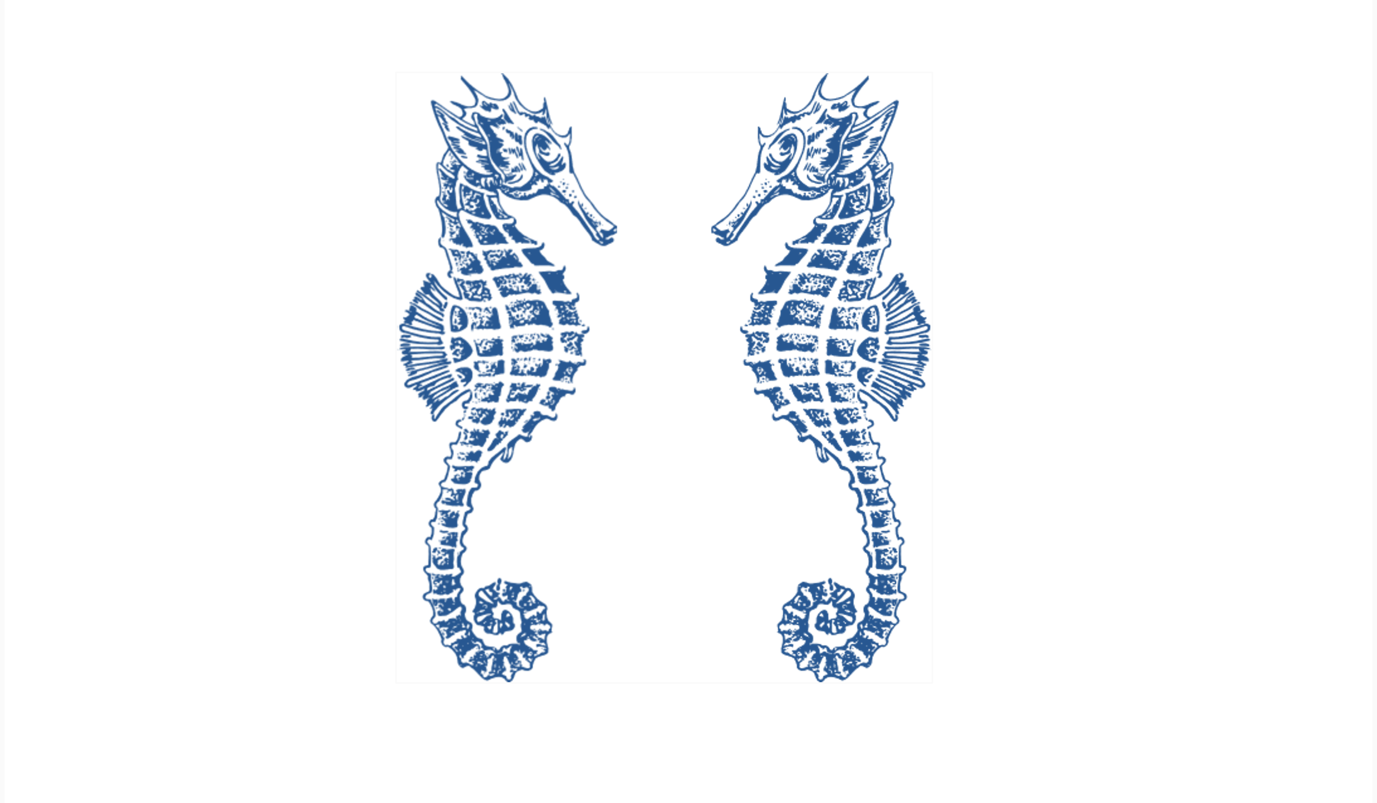 Footer image
