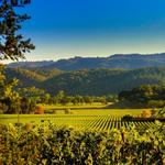 Napa