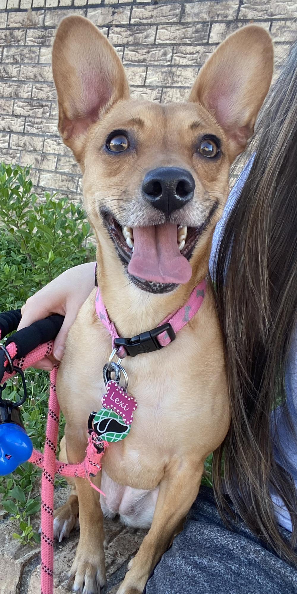 Our baby Lexi!