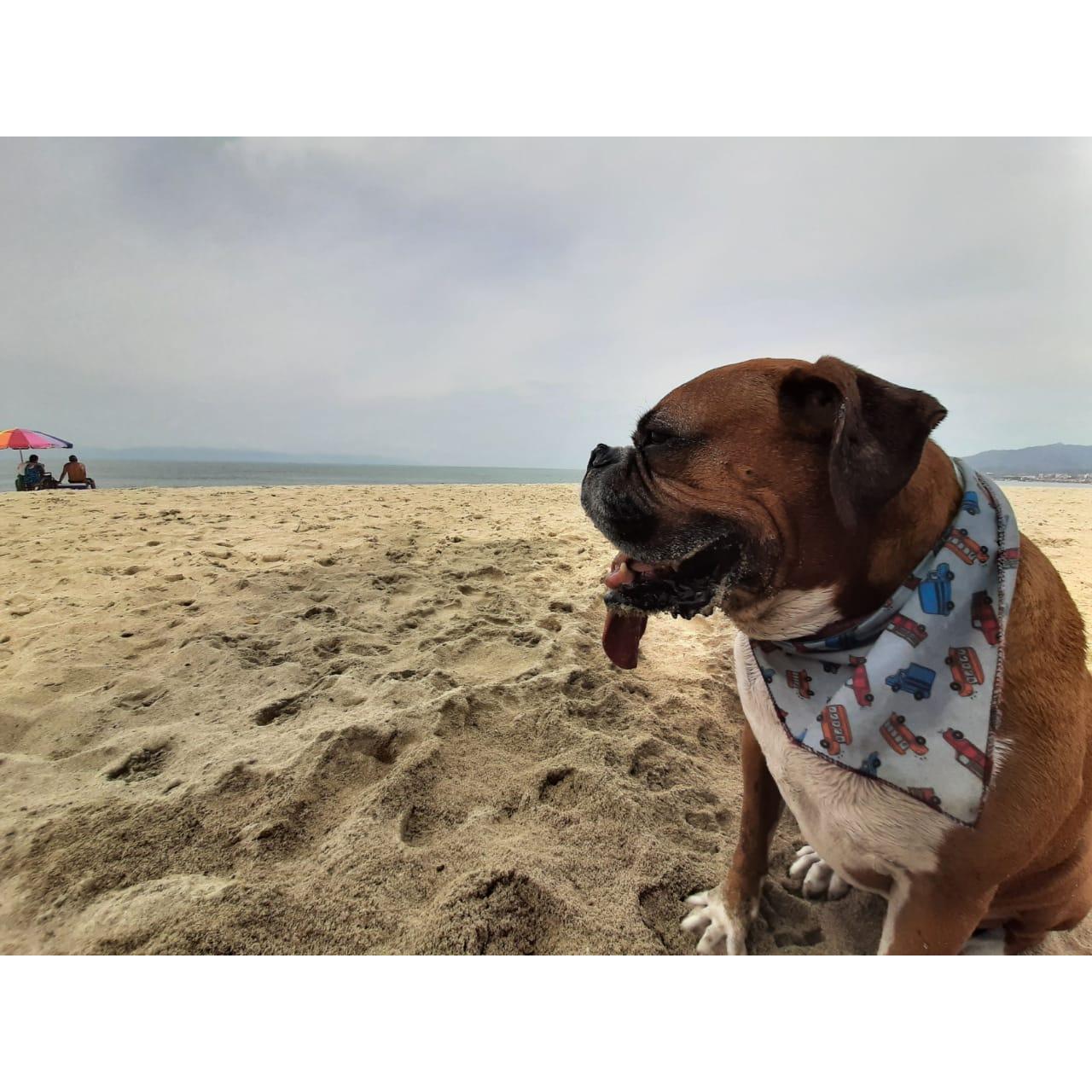 El massss guapisisisiisissmo de la familia