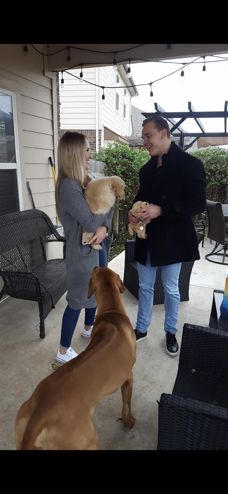 The day I surprised Drew with Kevin (golden retriever).