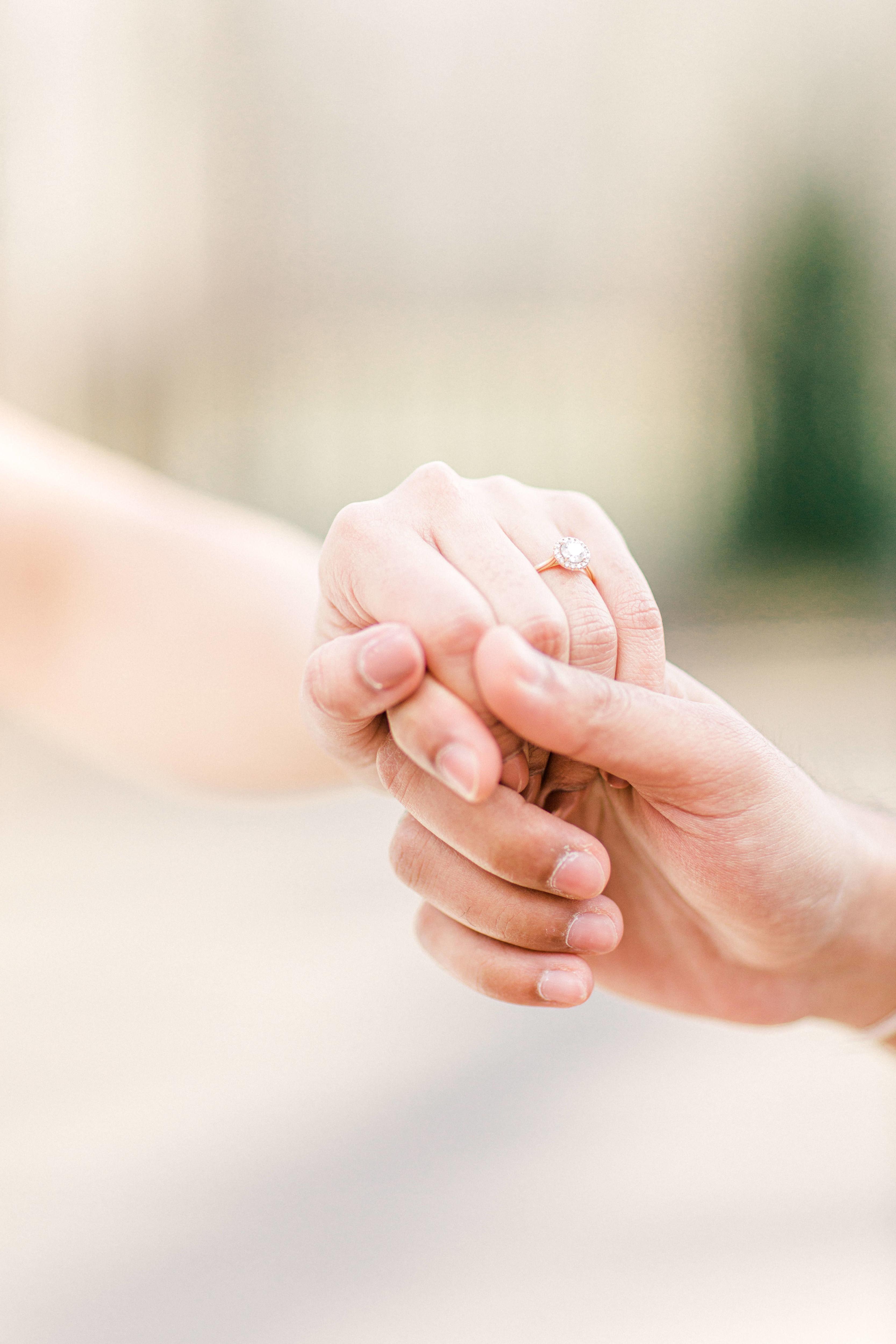 The Wedding Website of Alta Soni and Rohan Patel