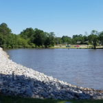 Jack Marley Park